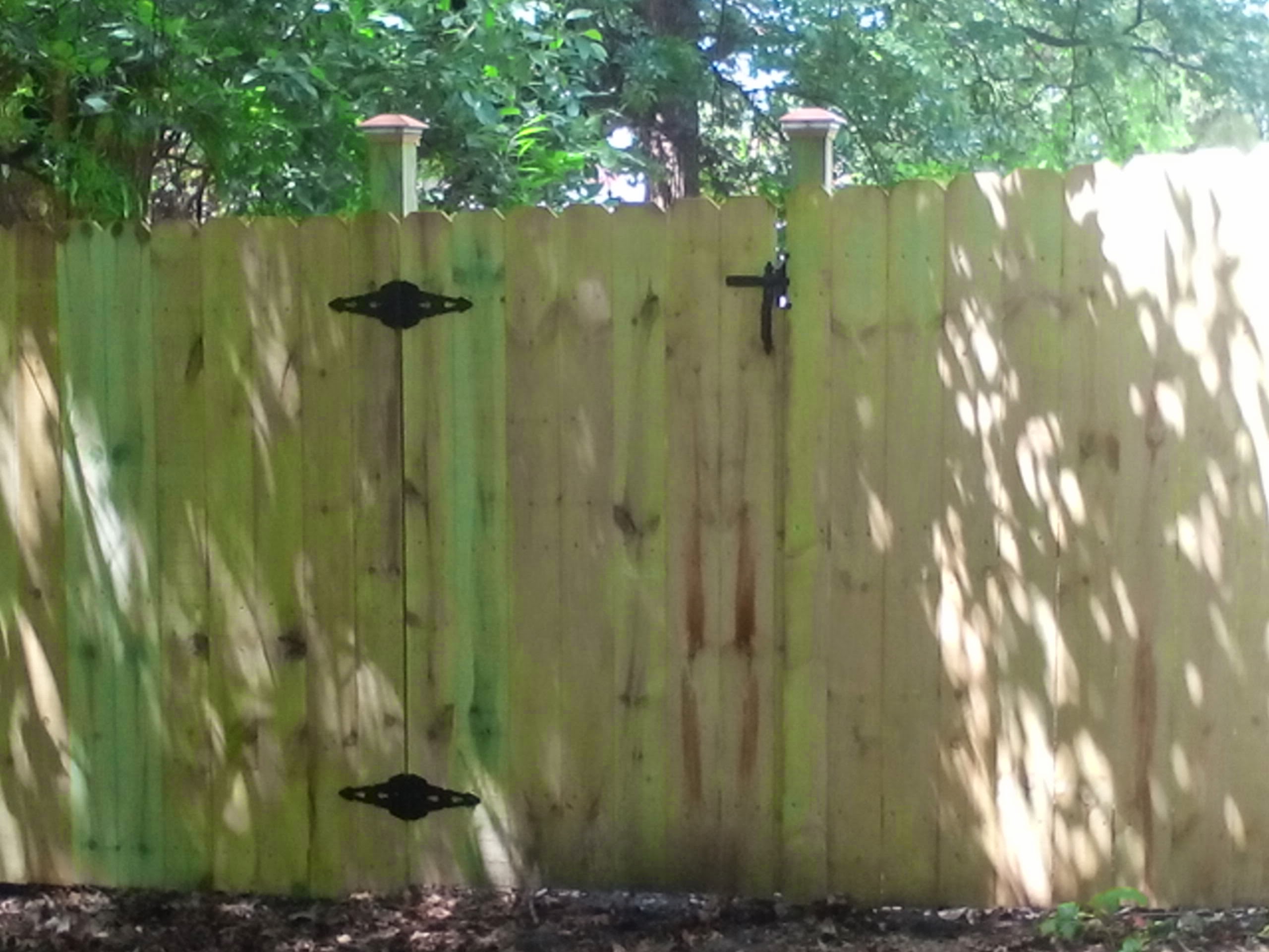 Fence Gate
